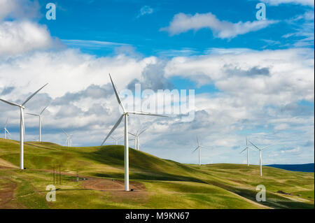 Wind Turbines stand tall and stark against the high desert landscape of rolling hills in the Columbia River Gorge Stock Photo