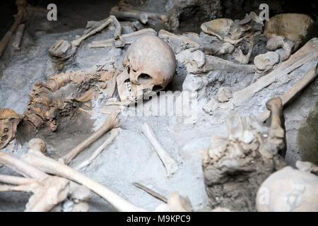 Skeletons and bones of the victims of a volcanic eruption in 79AD in the Roman city of Herculaneum, Italy Stock Photo