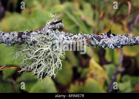 USFWS at work protecting the environment. Stock Photo