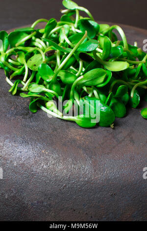 healthy green fresh shot, greens Stock Photo