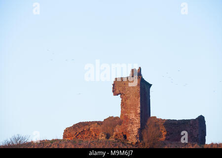 The remains of Red Castle near Lunan Bay  Angus Scotland. Stock Photo