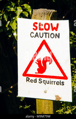 Hand-painted red squirrel warning sign in the Vale of Lorton in the English Lake District Stock Photo