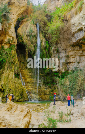 EIN GEDI, ISRAEL - MARCH 16, 2018: The David waterfall, with visitors, in Ein Gedi Nature Reserve, Judaean Desert, Southern Israel Stock Photo