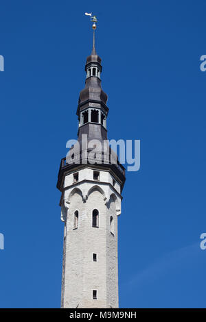 Tallinn Town Hall tower  Old Town, Tallinn, Harju County, Estonia Stock Photo