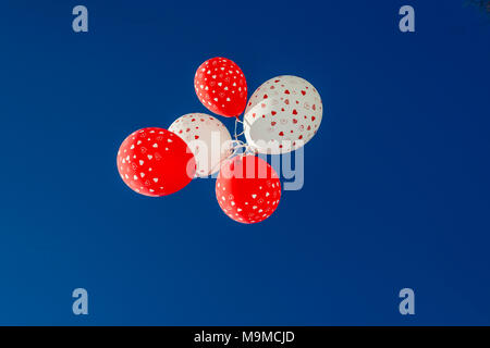 Five Balloons whit hearts against  a blue sky Stock Photo