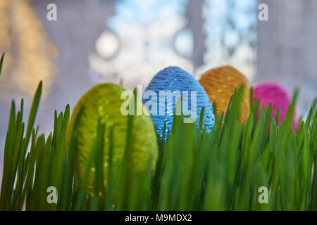 Easter symbols - Colorful easter eggs placed between frech green wheat germs. The concept of a happy Easter, selective focus. Stock Photo