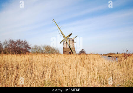 A view over reed beds to the ruined Brograve Drainage Mill on the Norfolk Broads at Horsey, Norfolk, England, United Kingdom, Europe. Stock Photo