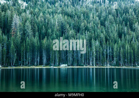 Dawn reflection in pond, Tuolumne meadows, Yosemite national park ...