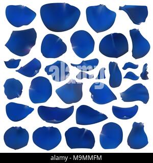A set of bright blue rose petals Stock Vector