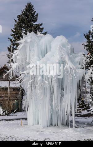 Frozen tree with long icicles, Malters, Lucerne, Switzerland Stock Photo