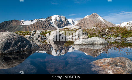 Lake with snow-covered Altai mountains in the back, Mongolia Stock Photo