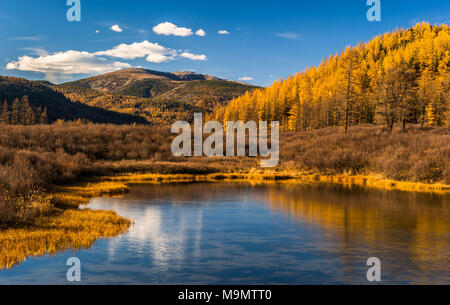 Tuul river with landscape in autumn colors and Burkhan Khaldun Mountain, Gorkhi-Terelj National Park, Mongolia Stock Photo