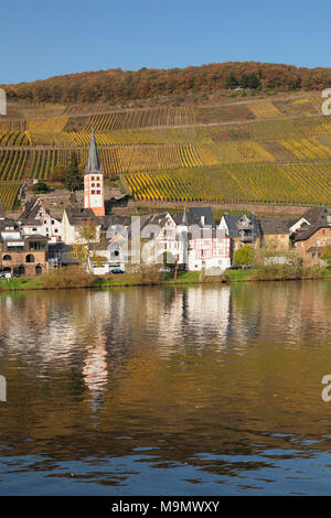 District of Merl with vineyards, Zell an der Mosel, Rhineland-Palatinate, Germany Stock Photo