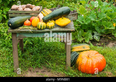 assorted fresh vegetables for sale including pumpkin squash marrow and potatoes on a stall outside in an allotment Stock Photo