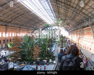 Madrid, Spain - January 27, 2018: Tropical green house, location in 19th century Atocha Railway Station in Madrid, Spain. Stock Photo