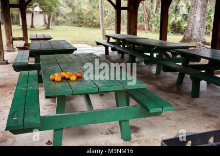 A group of oranges sitting on a picnic table at Yulee Sugar Mill Ruins Historic State Park Stock Photo