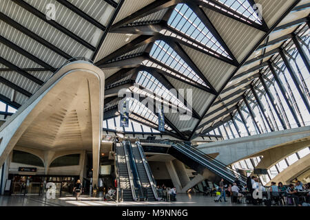 Saint-Exupéry Train Station, architect Santiago Calatrava, Lyon–Saint-Exupéry Airport, Lyon, France Stock Photo