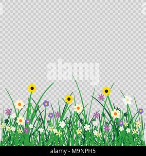 Wild flowers plant and grass on transparent background. Nature spring or summer abstract flora mockup. Chamomile cornflower violet snowdrop grow on na Stock Vector
