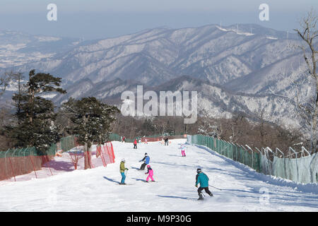 A look down the Rainbow Paradise run at Yongpyong resort, which is the Olympic descent for the 2018 Winter Games.  Yongpyong (Dragon Valley) Ski Resort is a ski resort in South Korea, located in Daegwallyeong-myeon, Pyeongchang, Gangwon-do. It is the largest ski and snowboard resort in Korea. Yongpyong will host the technical alpine skiing events for the 2018 Winter Olympics and Paralympics in Pyeongchang. Some scenes of the 2002 Korean Broadcasting System drama Winter Sonata were filmed at the resort. Stock Photo