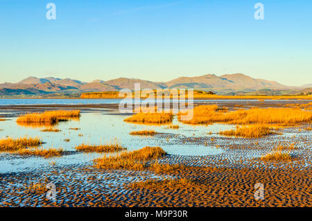 View from shoreline near Askam in Furness, Cumbria, with Scafell and Scafell Pike at far left and the Coniston fells on the right Stock Photo