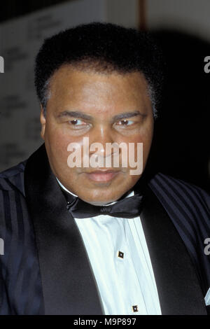 NEW YORK, NY - AUGUST 21:  Muhammad Ali attends an event at Madison Square Garden on August 21, 1996 in New York City  People:  Muhammad Ali Stock Photo