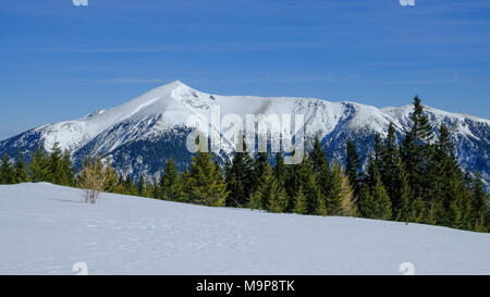 Winter landscape with Schneeberg, snow-covered summit, view from Raxalpe, Rax, Lower Austria, Austria Stock Photo