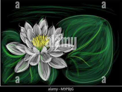 water lily with leaf on dark background Stock Vector