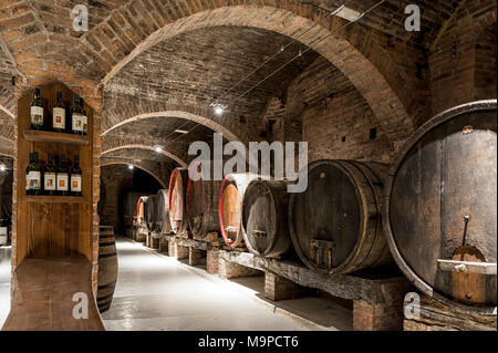 Wine cellar in the Benedictine Abbey of Monte Oliveto Maggiore, large monastery in Tuscany, Italy Stock Photo