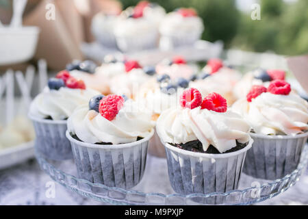Set of different delicious tasty muffins with berries on summer background. Different dessert tartlets with cream and fresh blueberry and raspberry. Selective focus. candy bar concept Stock Photo