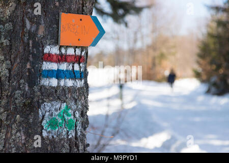Tourist signs painted on a tree in Polish mountains, near Piwniczna Zdroj, marking tourist paths. In the background unrecognizable tourist. Stock Photo