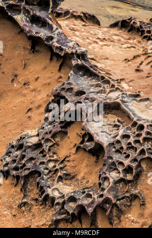 Honeycomb weathering patterns in the limestone within the Yehliu Geological Park known to geologists as the Yehliu Promontory, forms part of the Dalia Stock Photo