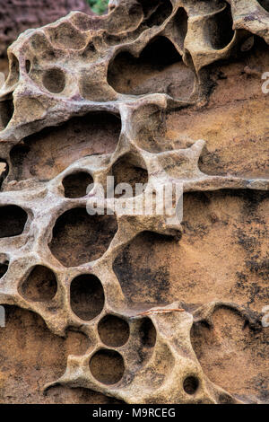 Honeycomb weathering patterns in the limestone within the Yehliu Geological Park known to geologists as the Yehliu Promontory, forms part of the Dalia Stock Photo