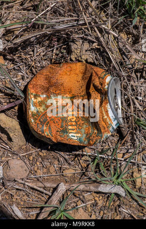 Rusting beer can discarded on the ground in the countryside Stock Photo