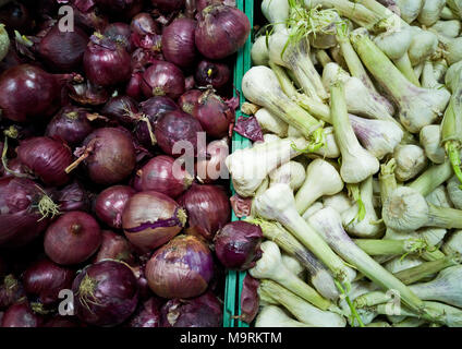 Close-up of red onions and garlic lying on the window. Stock Photo