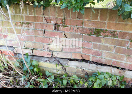 Impact damage to red brick garden wall caused by vehicle reversing, Suffolk, England, UK Stock Photo