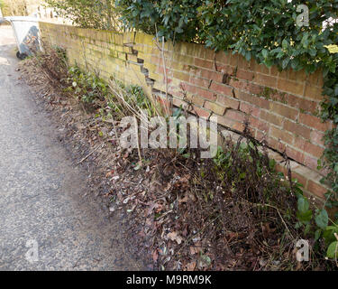 Impact damage to red brick garden wall caused by vehicle reversing, Suffolk, England, UK Stock Photo