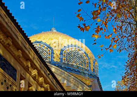 Europe, France, Auvergne, Vichy, avenue you Général Dwight Eisenhower, Centre Thermal of the Dômes, thermal bath, dome, autumn foliage, brown, archite Stock Photo