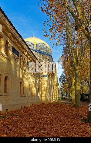 Europe, France, Auvergne, Vichy, avenue you Général Dwight Eisenhower, Centre Thermal of the Dômes, thermal bath, autumn foliage, brown, architecture, Stock Photo