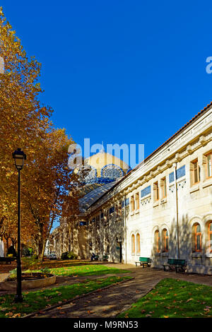 Europe, France, Auvergne, Vichy, avenue Thermale, dome, building, Therme, autumn, colour of the leaves, architecture, detail, building, roofs, histori Stock Photo