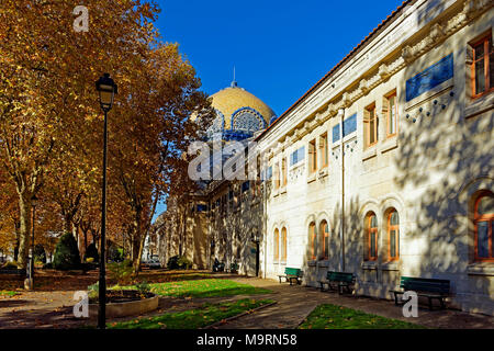 Europe, France, Auvergne, Vichy, avenue Thermale, dome, building, Therme, autumn, colour of the leaves, architecture, detail, building, roofs, histori Stock Photo