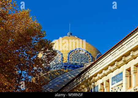 Europe, France, Auvergne, Vichy, avenue Thermale, dome, building, Therme, autumn, colour of the leaves, architecture, detail, building, roofs, histori Stock Photo