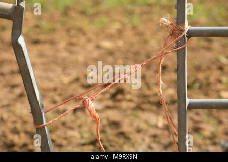 Farmers gate fastened with baler twine, Dorset UK Stock Photo