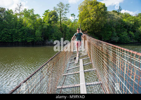 A man climbing along a suspension bridge, Kudat, Sabah, Malaysia, Borneo, Stock Photo