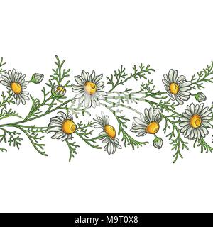 chamomile flower vector pattern on white background Stock Vector
