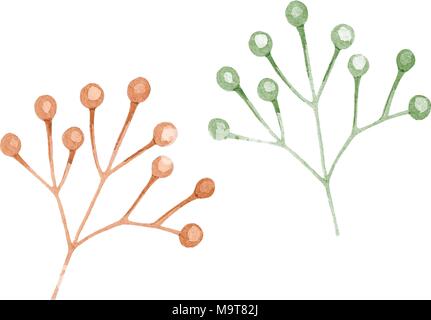 The isolated watercolor drawn plant decoration on white background Stock Vector