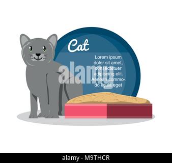 cat on sandbox icon vector illustration design Stock Vector