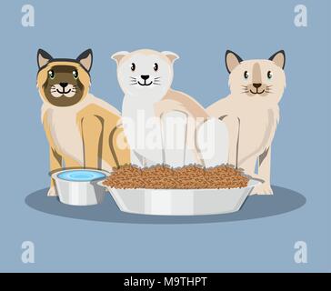 cat wirh can food vector illustration design Stock Vector