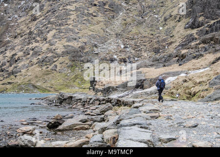 Walker on the Miners Path which leads to the summit of Mount Snowdon, Snowdonia, Gwynedd, North Wales, UK Stock Photo