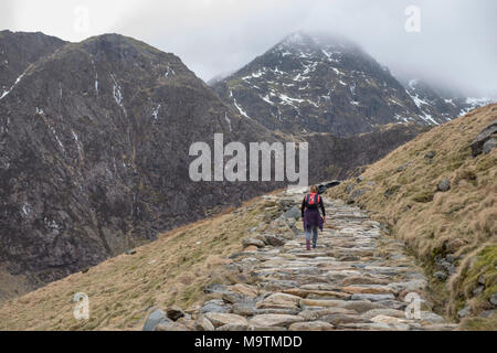 Walker on the Miners Path which leads to the summit of Mount Snowdon, Snowdonia, Gwynedd, North Wales, UK Stock Photo