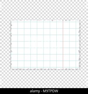 Lined paper. Piece of paper from notebook. Vector illustration isolated Stock Vector